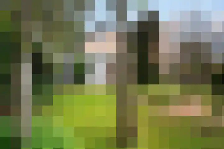 Roerdompstraat 15 Ermelo thumbnail 34