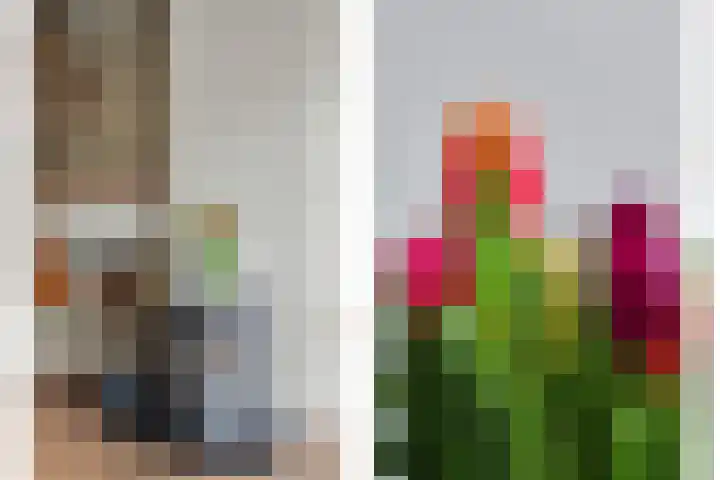 Roerdompstraat 16 Strijen thumbnail 14