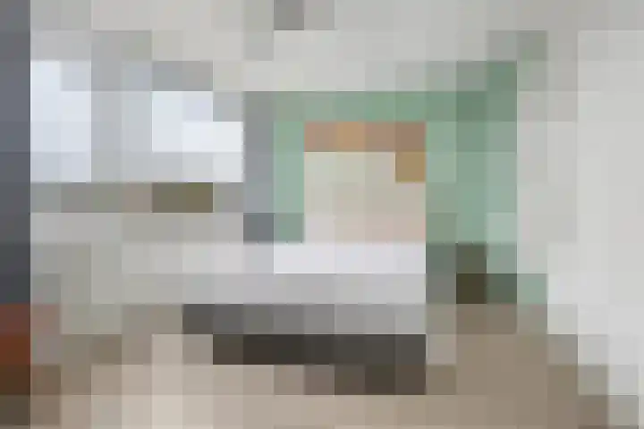 Roerdompstraat 16 Strijen thumbnail 16