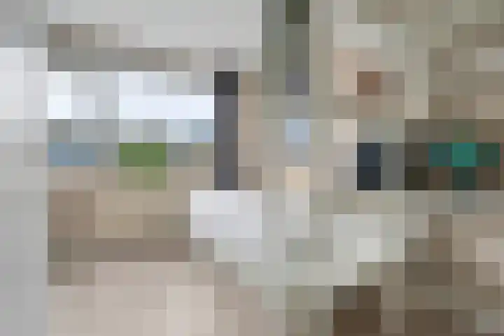 Roerdompstraat 16 Strijen thumbnail 18