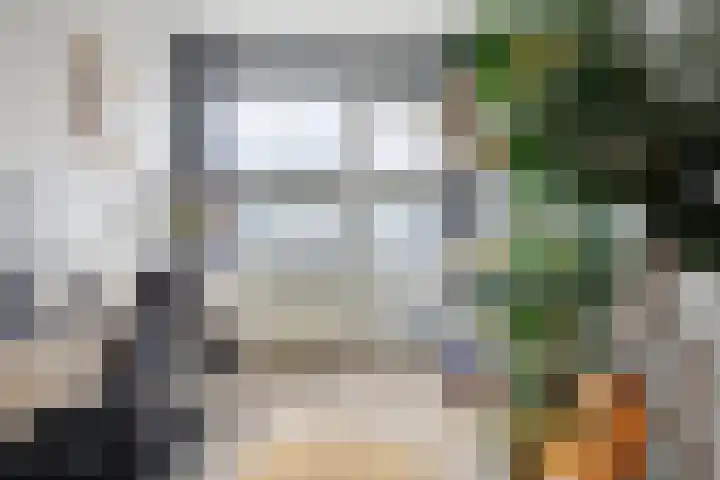 Roerdompstraat 16 Strijen thumbnail 19