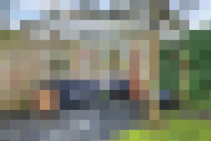 Roerdompstraat 16 Strijen thumbnail 29