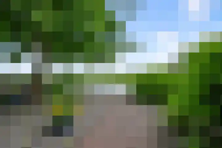 Roerdompstraat 26 Wormer thumbnail 16