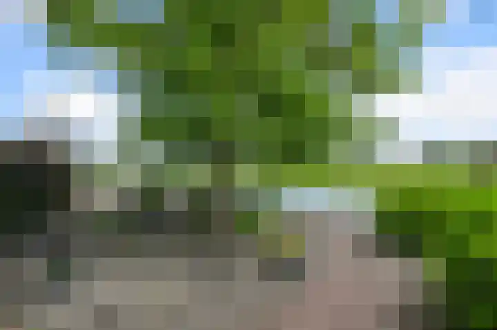 Roerdompstraat 26 Wormer thumbnail 20