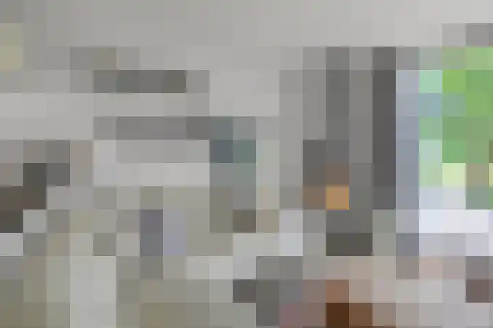 Roerdompstraat 26 Wormer thumbnail 7