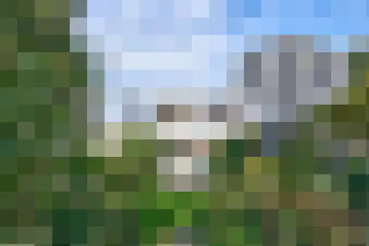 Roerdompstraat 37 Westzaan thumbnail 33