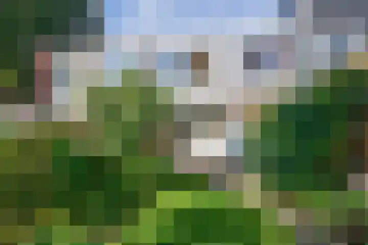 Roerdompstraat 37 Westzaan thumbnail 34