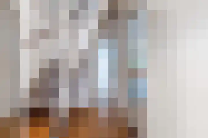 Roerdompstraat 37 Westzaan thumbnail 8