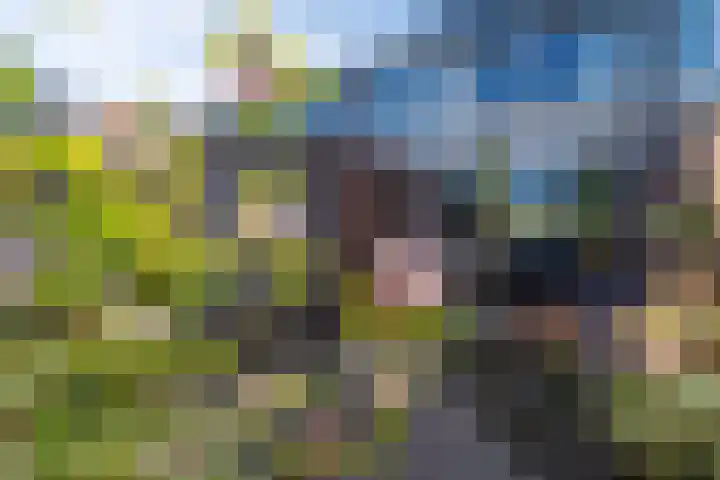 Roerdompstraat 4 Ten Boer thumbnail 32