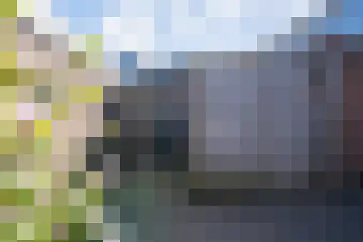 Roerdompstraat 4 Ten Boer thumbnail 34
