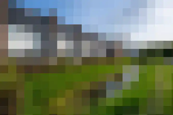 Roerdompstraat 4 Ten Boer thumbnail 36