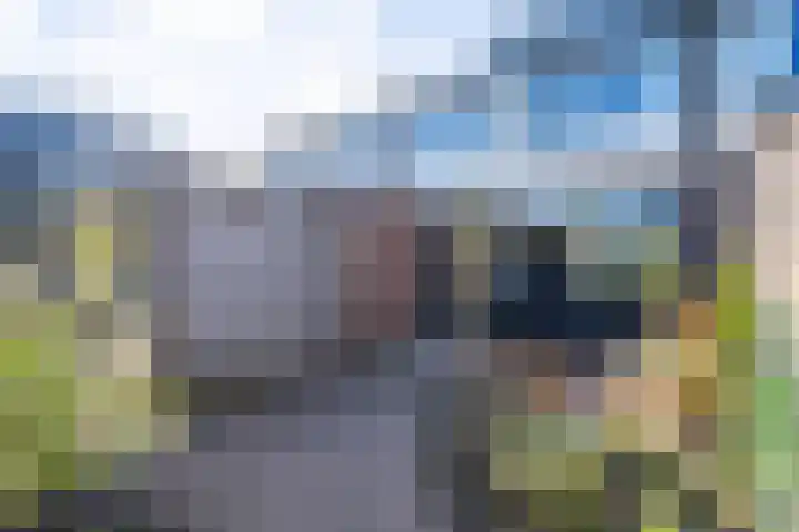 Roerdompstraat 4 Ten Boer thumbnail 5