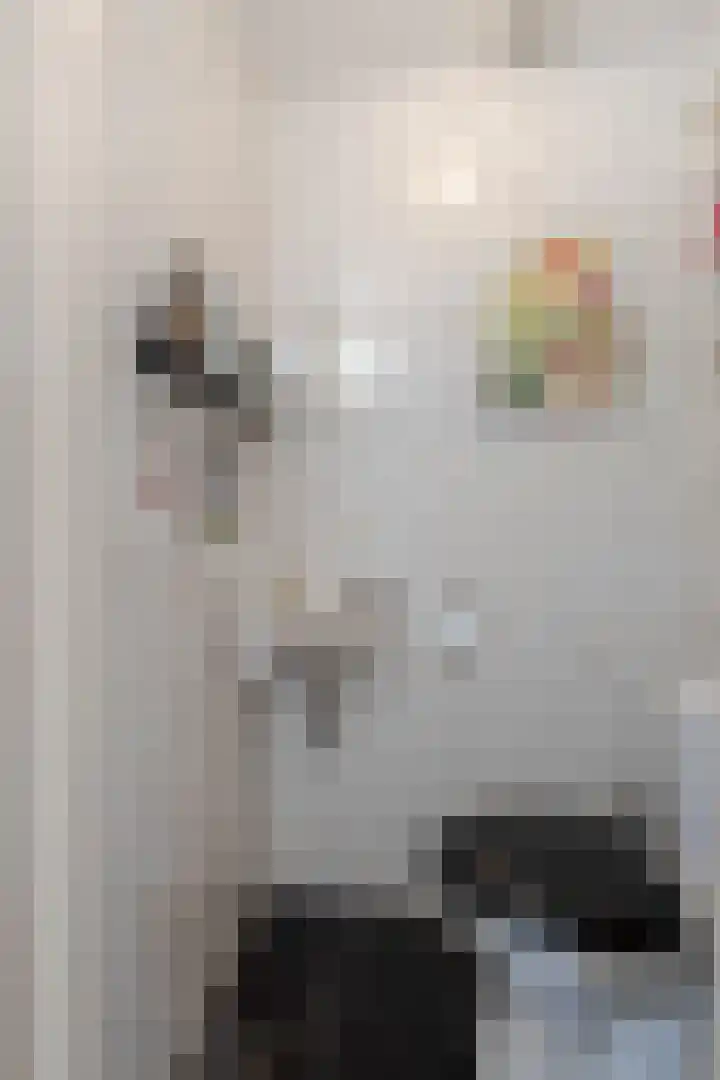 Roerdompstraat 46 Groot-Ammers thumbnail 21