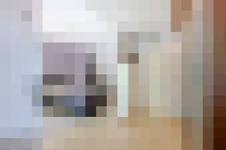 Roerdompstraat 46 Groot-Ammers thumbnail 28