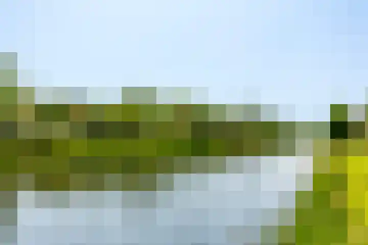 Roerdompstraat 46 Groot-Ammers thumbnail 4