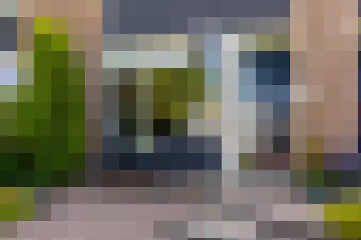 Roerdompstraat 46 Groot-Ammers thumbnail 40