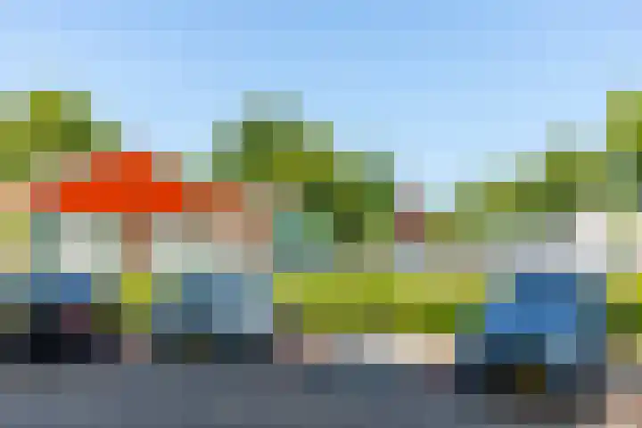 Roerdompstraat 46 Groot-Ammers thumbnail 42