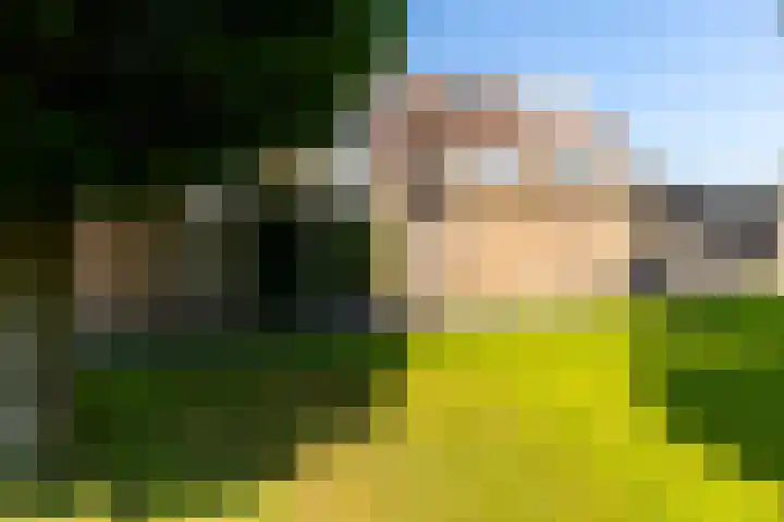 Roerdompstraat 46 Groot-Ammers thumbnail 43