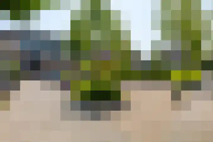 Roerdompstraat 46 Groot-Ammers thumbnail 5