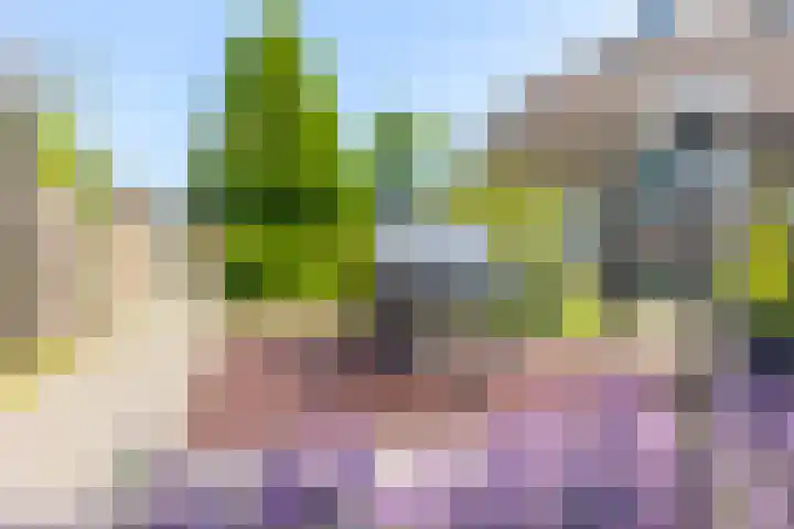 Roerdompstraat 46 Groot-Ammers thumbnail 6