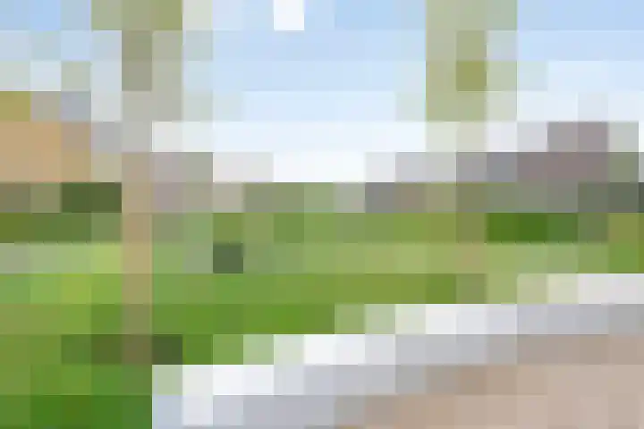 Roerdompstraat 5 Baarn thumbnail 11