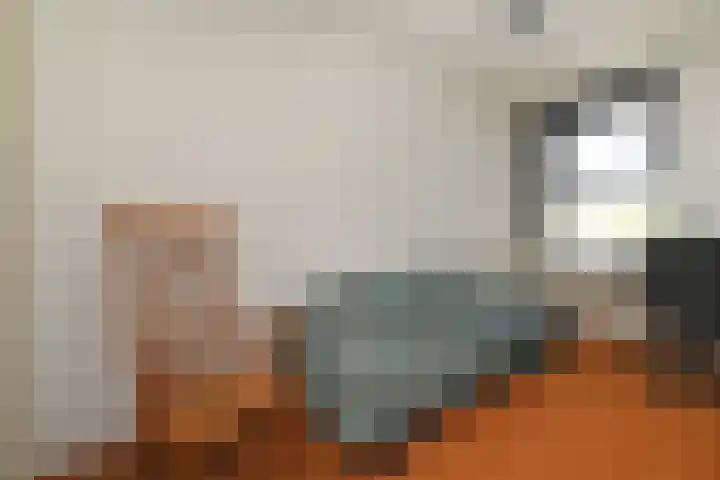 Roerdompstraat 5 Baarn thumbnail 14