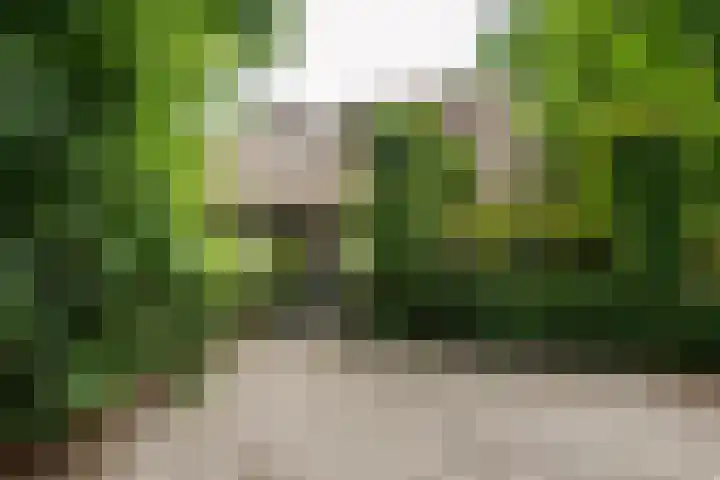 Roerdompstraat 5 Baarn thumbnail 28