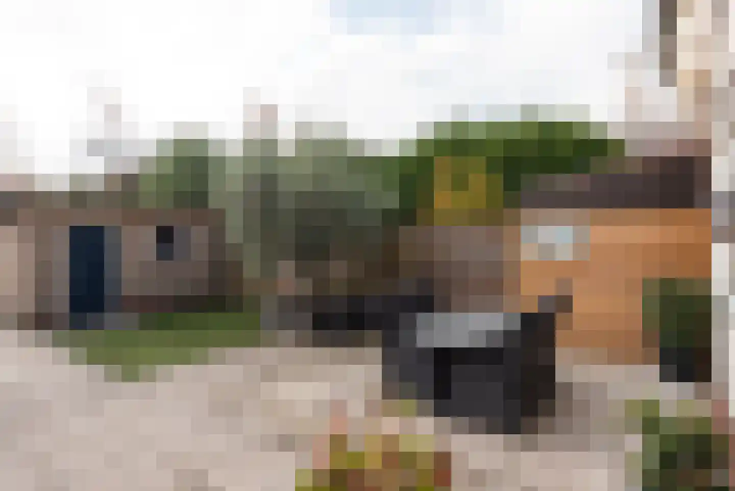 Roerdompstraat 5 Baarn thumbnail 4