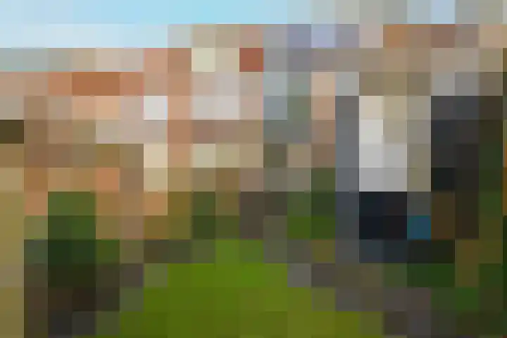 Roerdompstraat 61 Gouda thumbnail 23