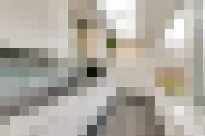 Roerdompstraat 61 Gouda thumbnail 4