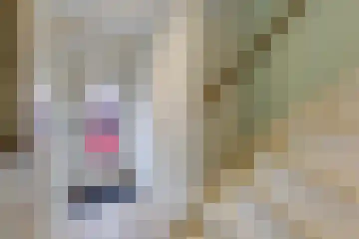 Roerdompstraat 61 Gouda thumbnail 6