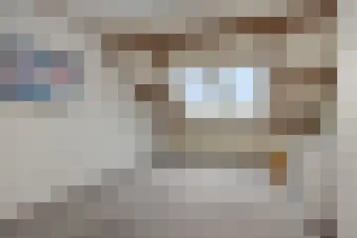 Roerdompstraat 8 Helmond thumbnail 36