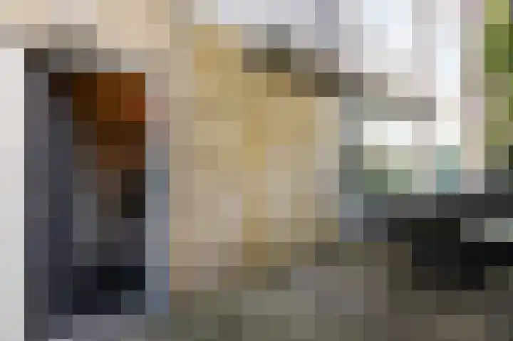 Roerdompstraat 8 Velp thumbnail 18