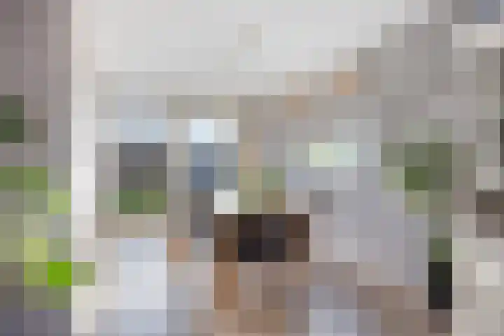 Roerdompstraat 81 Velp thumbnail 13