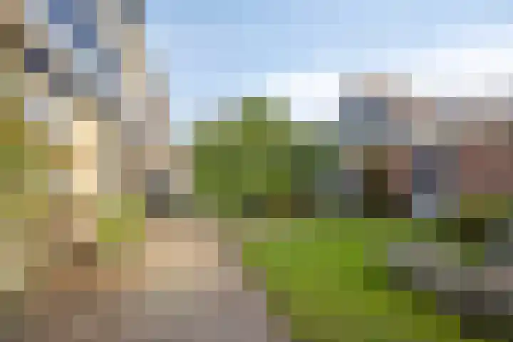 Roerdompstraat 81 Velp thumbnail 36