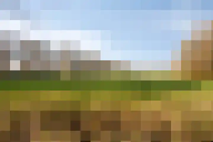 Roerdompstraat 81 Velp thumbnail 41