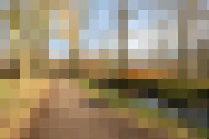 Roerdompstraat 81 Velp thumbnail 42