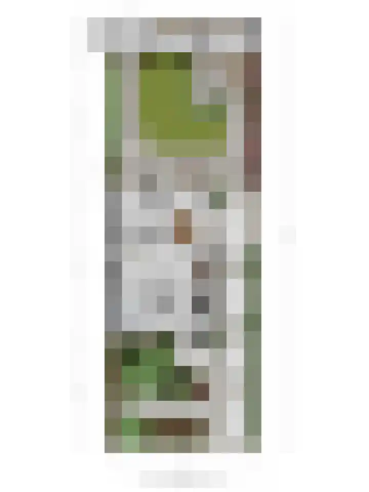 Roerdompstraat 81 Velp thumbnail 48