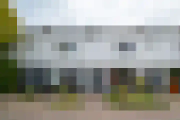 Roerdompweg 18 in Haren Gn