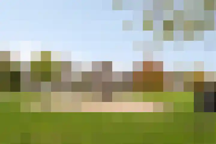 Roerkuip 27 Sint-Michielsgestel thumbnail 29