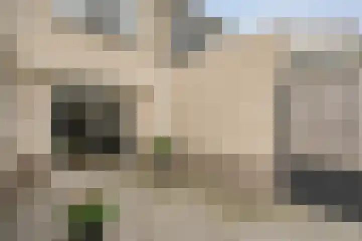 Roeterskamp 25 Hardenberg thumbnail 33