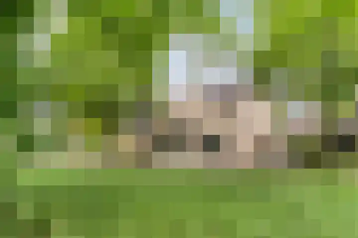 Roeterskamp 25 Hardenberg thumbnail 4