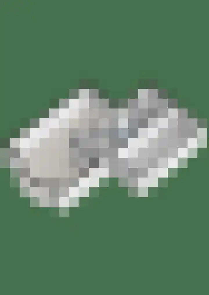 Roeterskamp 25 Hardenberg thumbnail 41