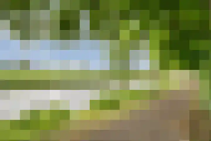 Roeterskamp 25 Hardenberg thumbnail 7