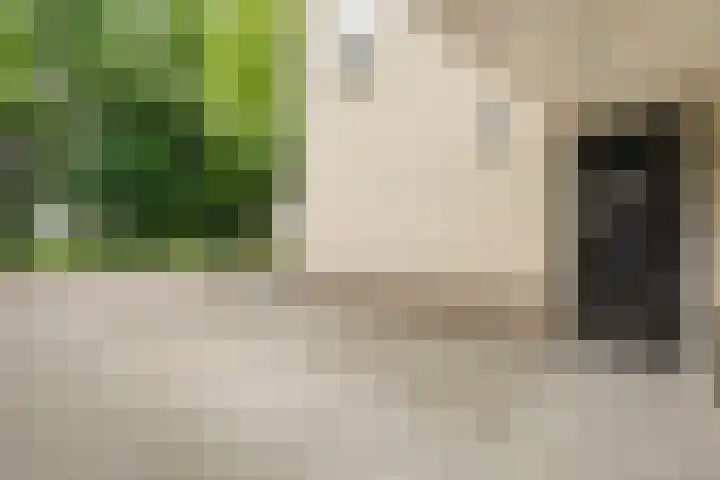 Roeterskamp 25 Hardenberg thumbnail 8