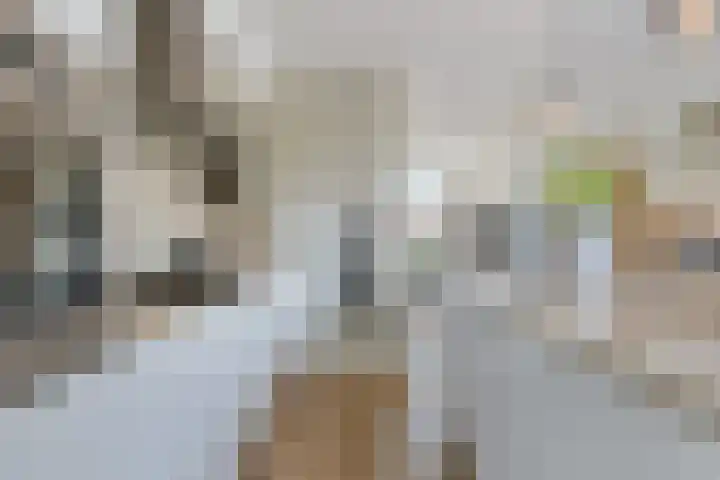 Roffart 10 Eindhoven thumbnail 16