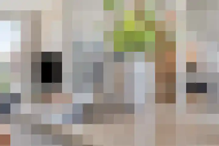 Roffart 10 Eindhoven thumbnail 18