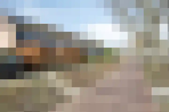 Roffart 10 Eindhoven thumbnail 44