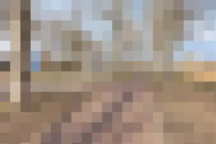 Roffart 10 Eindhoven thumbnail 47