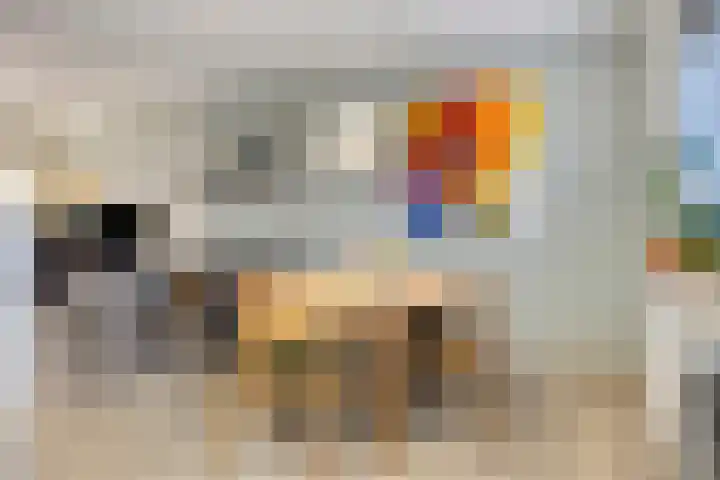 Rog 34 Hellevoetsluis thumbnail 14